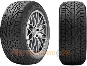 Taurus Winter 245/45 R18 100V XL