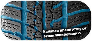 картинка шины Barum Polaris 2