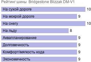 картинка шины Bridgestone Blizzak DM-V1