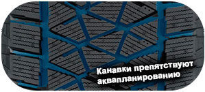 картинка шины Bridgestone Blizzak DM-V2