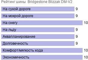 шины Bridgestone Blizzak DM-V2 фото картинка шины Bridgestone Blizzak DM-V2