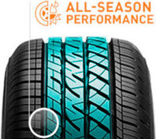 картинка шины Bridgestone DriveGuard