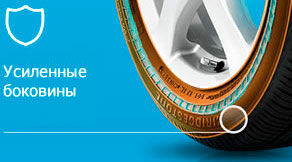 картинка шины Bridgestone DriveGuard