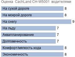 шины CachLand CH-W5001 фото картинка шины CachLand CH-W5001
