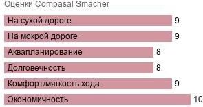 картинка шины Compasal Smacher