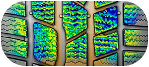 картинка шины Continental ContiWinterContact TS 830P