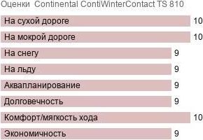 картинка шины Continental ContiWinterContact TS 810t