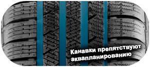 картинка шины Continental ContiWinterContact TS 810 Sport