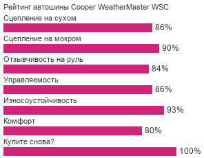 шины Cooper WeatherMaster WSC фото картинка шины Cooper WeatherMaster WSC