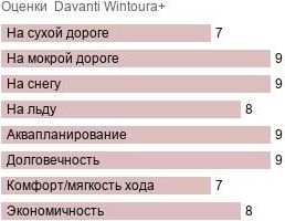 шины Davanti Wintoura+ фото картинка шины Davanti Wintoura+