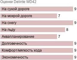 шины Delinte WD42 фото картинка шины Delinte WD42