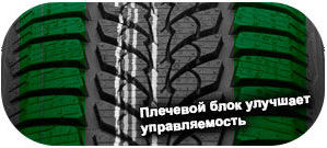 картинка шины Diplomat Winter HP