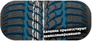 картинка шины Diplomat Winter HP