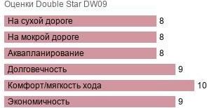 шины Double Star DW09 фото картинка шины Double Star DW09