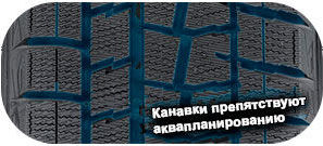 шины Dunlop Winter Maxx WM01 фото картинка шины Dunlop Winter Maxx WM01