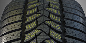 картинка шины Dunlop Winter Sport 5