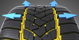 картинка шины Dunlop Winter Sport 5