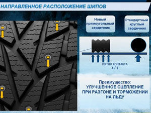 картинка шины Dunlop SP Winter Ice 02