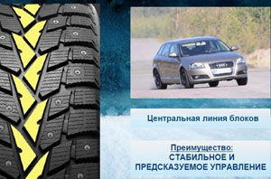 картинка шины Dunlop SP Winter Ice 02