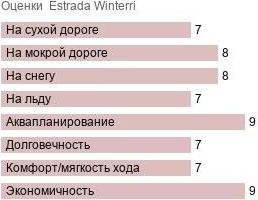 шины Estrada Winterri фото картинка шины Estrada Winterri