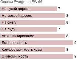 шины Evergreen EW 66 фото картинка шины Evergreen EW 66
