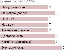 картинка шины Farroad FRD75