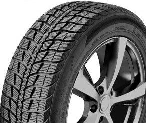 картинка шины Federal Himalaya WS2