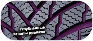 картинка шины Firestone WinterHawk 4
