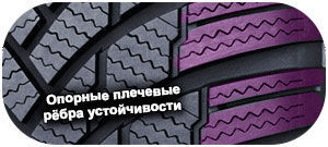 картинка шины Firestone WinterHawk 4