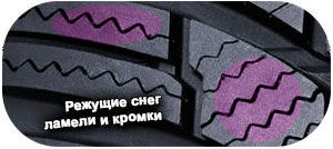 картинка шины Firestone WinterHawk 4