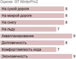 картинка шины GT WinterPro2