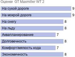 картинка шины GT Maxmiller WT 2