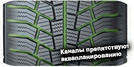 картинка шины General Altimax Winter 3