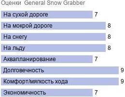 картинка шины General Snow Grabber
