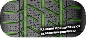 картинка шины Gislaved Euro Frost Van