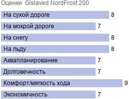 картинка шины Gislaved NordFrost 200