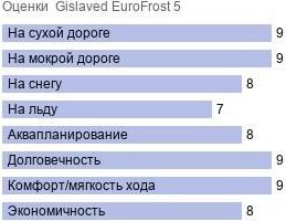 шины Gislaved EuroFrost 5 фото картинка шины Gislaved EuroFrost 5