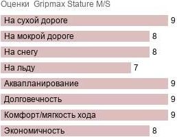шины Gripmax Stature M/S фото картинка шины Gripmax Stature M/S