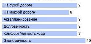 картинка шины Kumho WS51