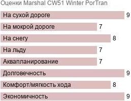 картинка шины Marshal CW51 Winter PorTran 