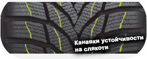 картинка шины Nexen WinGuard Sport 2