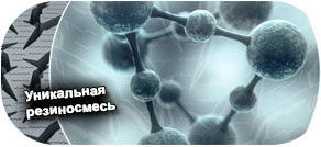 картинка шины Nokian WR Snowproof