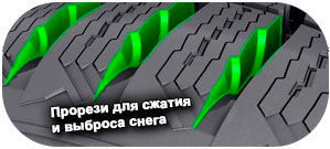 шины Nokian WR D4 фото картинка шины Nokian WR D4