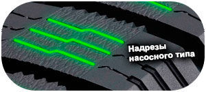 картинка шины Nokian Nordman RS2 SUV 