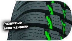 картинка шины Nokian WR Snowproof