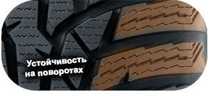 шины Nokian WR D4 фото картинка шины Nokian WR D4