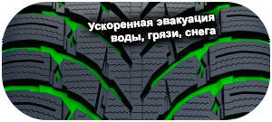 шины Nokian WR SUV 4 фото картинка шины Nokian WR SUV 4