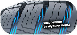 картинка шины Nokian WR Snowproof