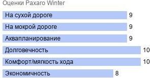 шины Paxaro Winter фото картинка шины Paxaro Winter