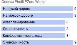 картинка шины Pirelli PZero Winter